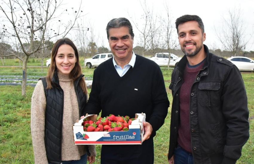 CAPITANICH: “FRUTILLAS Y NUECES PECÁN GENERAN UNA MATRIZ PRODUCTIVA DIVERSIFICADA E INNOVADORA PARA EL CHACO”