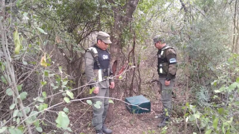 Encontraron más cocaína perteneciente a la avioneta siniestrada en Avia Terai: 32 kilos escondidos en arbustos