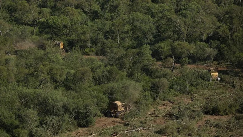 Denuncian graves irregularidades en el proceso del Ordenamiento Territorial de Bosques Nativos del Chaco