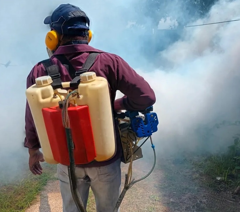 El Dengue Arrasa en América: Advertencia de la OPS ante la Peor Temporada Registrada