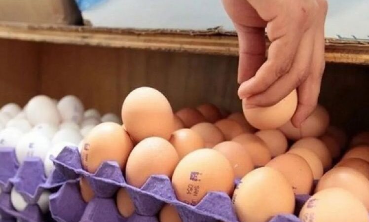 Aumento del 70% en el precio del huevo lleva a cambios en las verdulerías